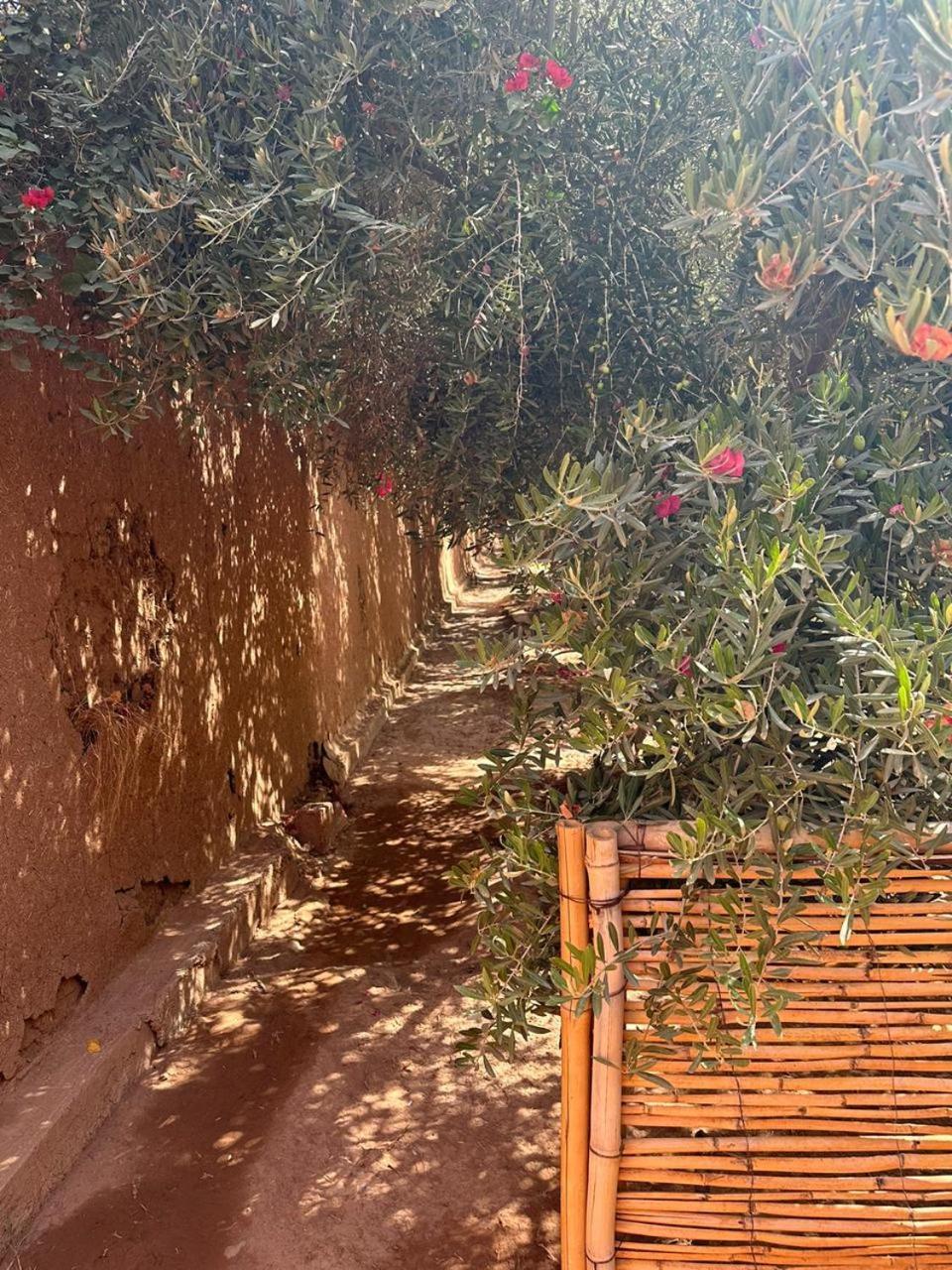 Villa Ms Holidays Mika Privatisee Marrakech Marrakesch Exterior foto